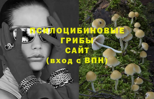 СК Навашино